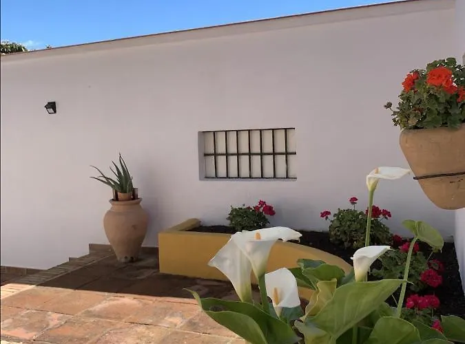 Encantador Apartamento-Céntrico-con Amplio Jardín
